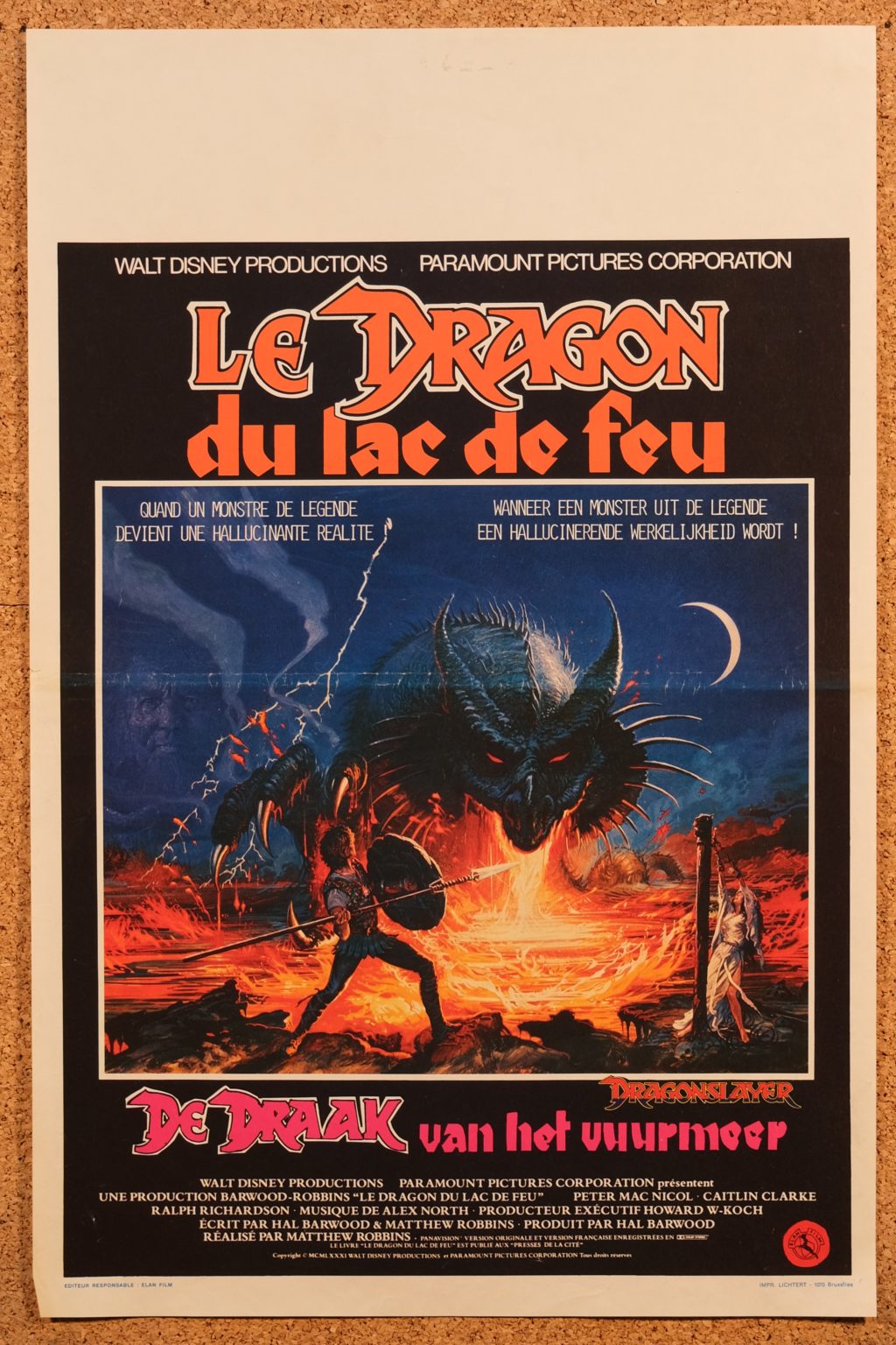Le Dragon Du Lac De Feu Streaming le dragon du lac de feu / dragonslayer | La malle à malice